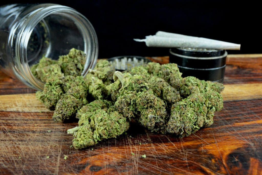 Exklusive Raritäten entdecken – Cannabissamen kaufen legal in Deutschland