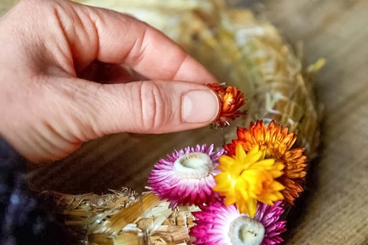 Willkommen im Silica Gel Shop: Ihre Lösung zum Blumen Trocknen und mehr!