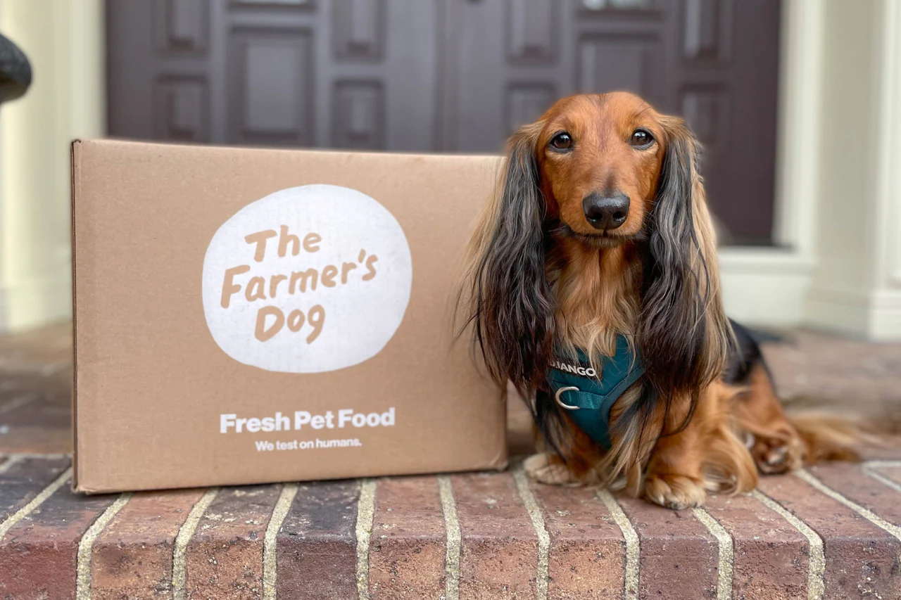 Farmer's dog pricing