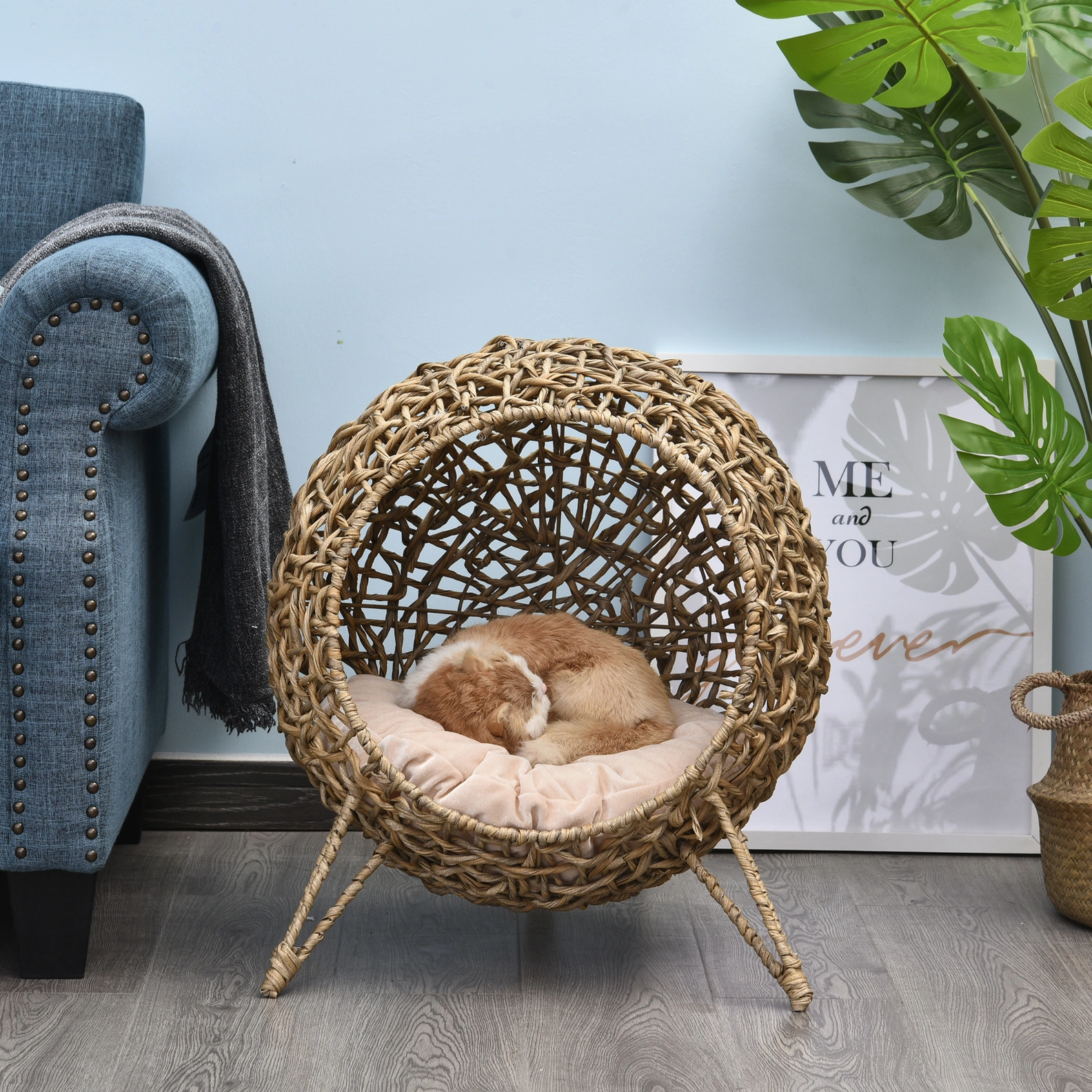 Die besten Katzenkorb-Materialien für Komfort und Langlebigkeit