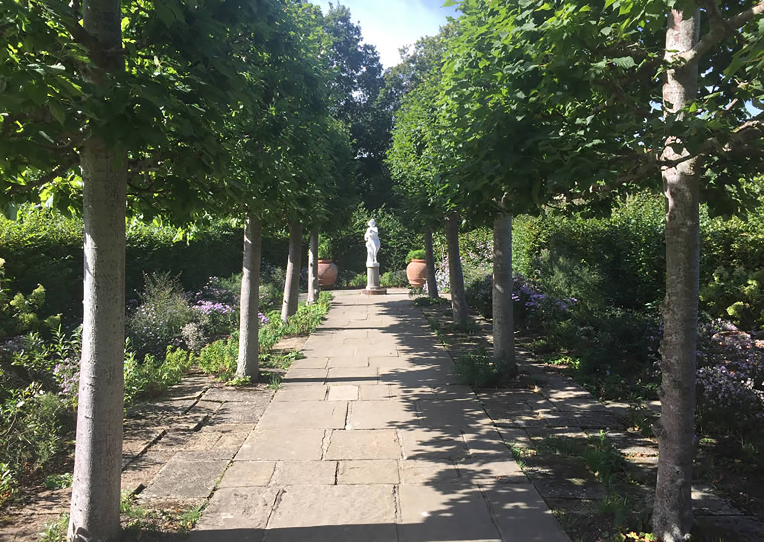 Schaffen Sie mehr Privatsphäre mit Sichtschutz Spalierbäumen in Ihrem Garten