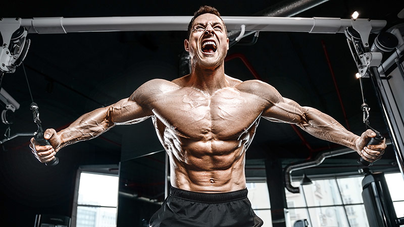 Yohimbine: Der Fatburner, der Ihre Ziele schneller erreicht