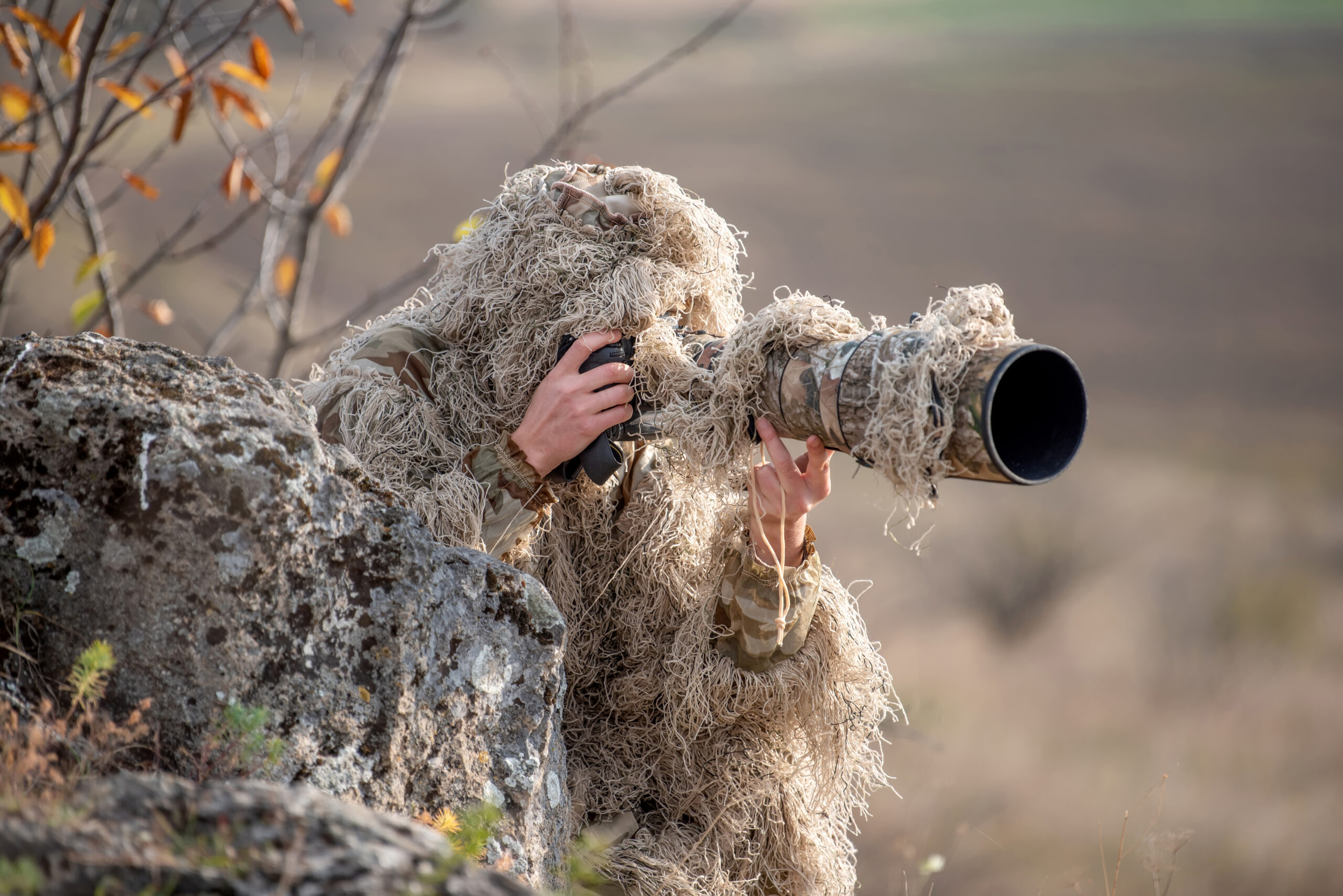 Wildtierfotografie deutschland: Die Magie des Lichts - Wildtierfotografie deutschland als Spiel zwischen Schatten und Strahlen