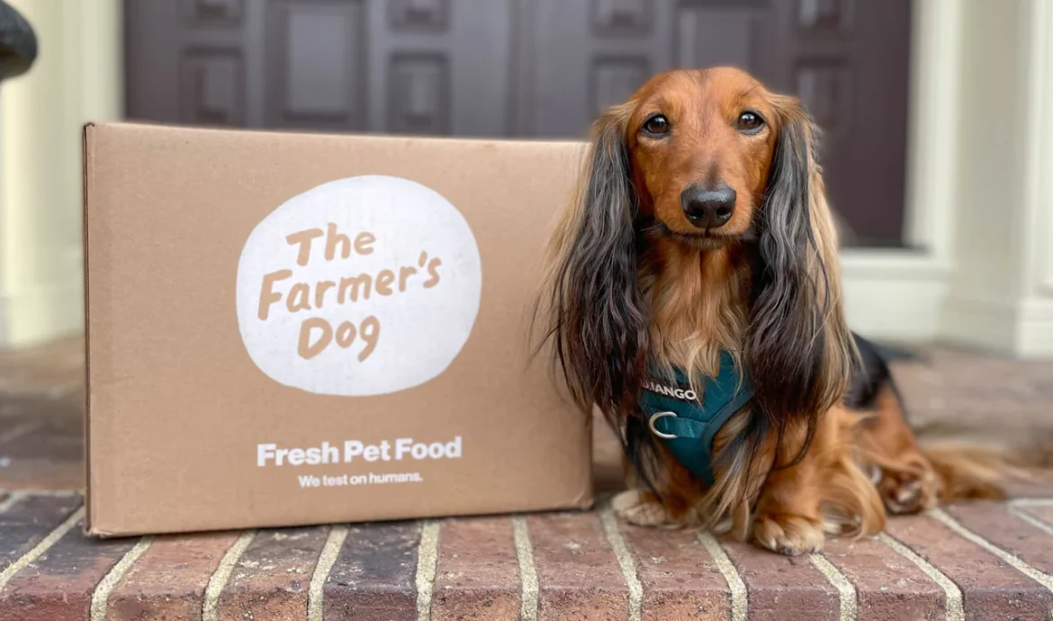 Farmer's dog pricing